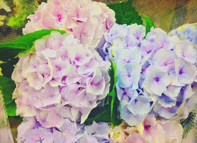 写真 5