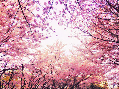 1写真 1 (1)
