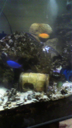 2010081615110000