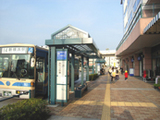 8b606902.jpg