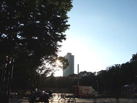 夏の新宿中央公園1