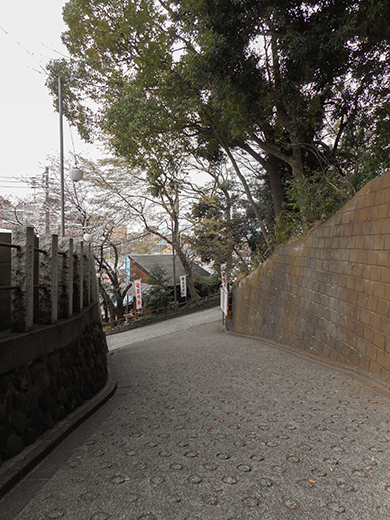 多摩川浅間神社の女坂かも?10