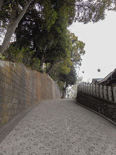 多摩川浅間神社の女坂かも?11
