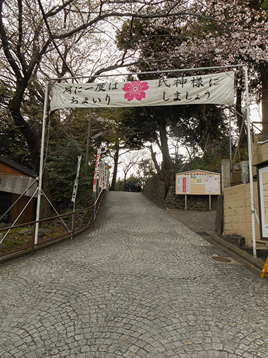 多摩川浅間神社の女坂かも?12