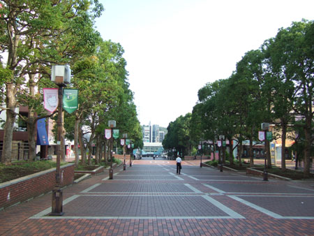 パルテノン多摩の大階段4