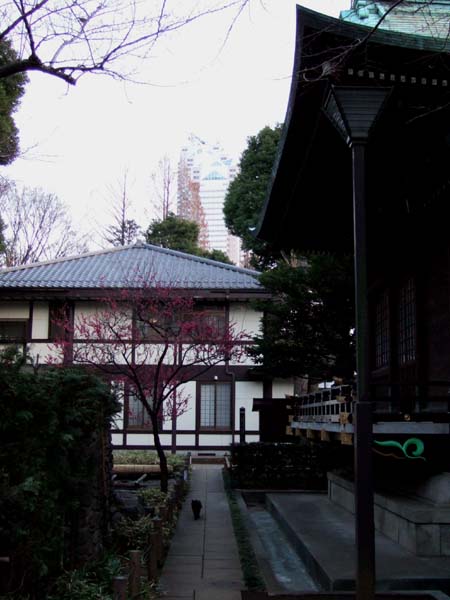 新宿中央公園の十二社熊野神社3