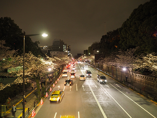 九段坂の夜桜と千鳥ヶ淵3