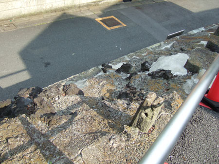 ごつごつ坂道と文豪6