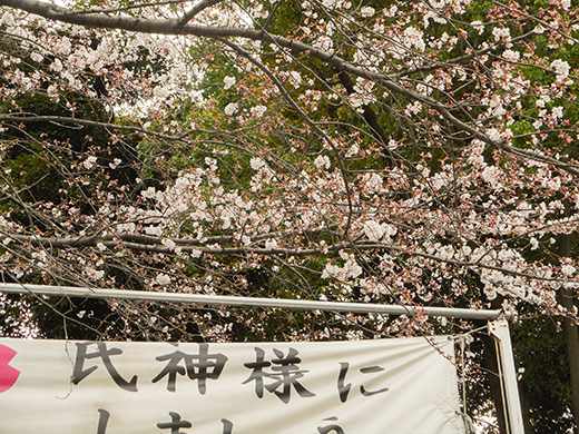 多摩川浅間神社の女坂かも?13