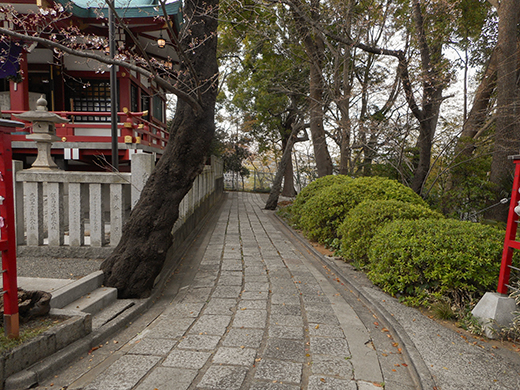 多摩川浅間神社の女坂かも?3