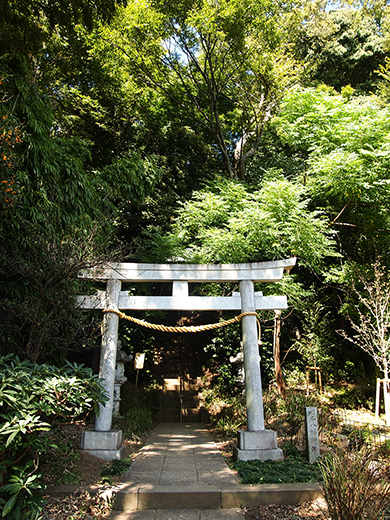 岡本八幡神社のおとこ坂?そしてユーミンの石灯篭。。1