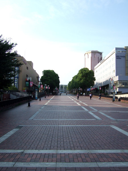 パルテノン多摩の大階段6