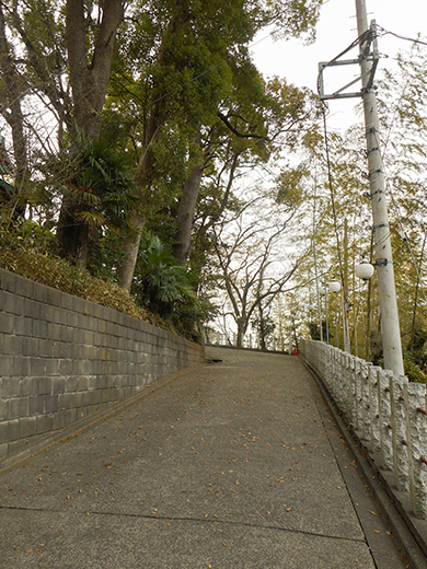多摩川浅間神社の女坂かも?8