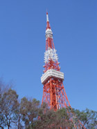 東京坂道さんぽ