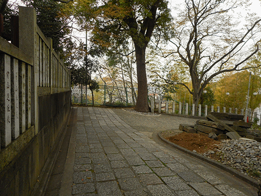 多摩川浅間神社の女坂かも?4