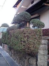 e48813f8.jpg