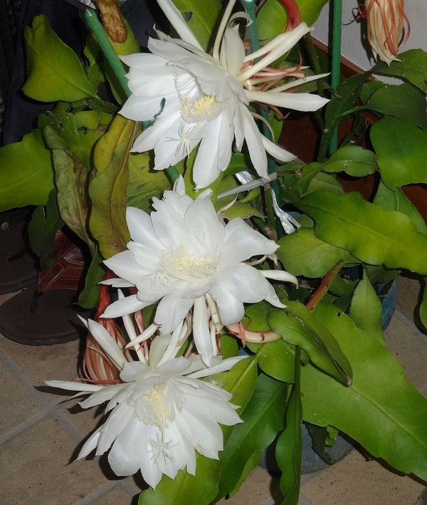 DSC01169