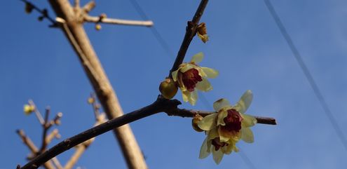 DSC01286