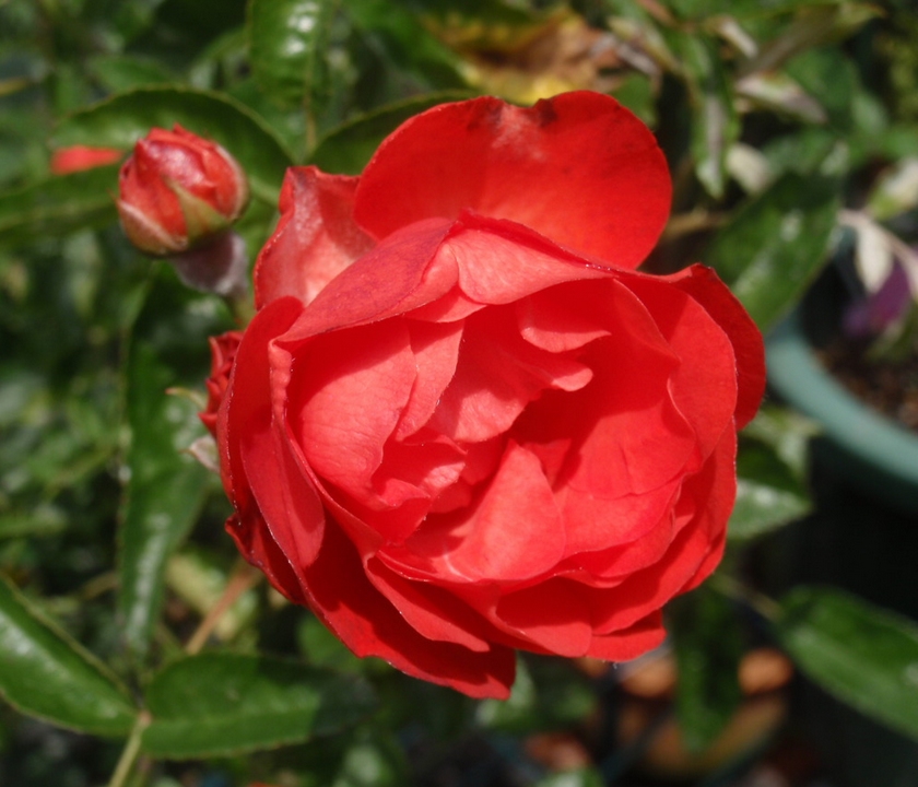 Father's Day(Min) (4)