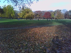 IMG_20111119_145936