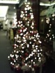 Xmas tree @ 1412