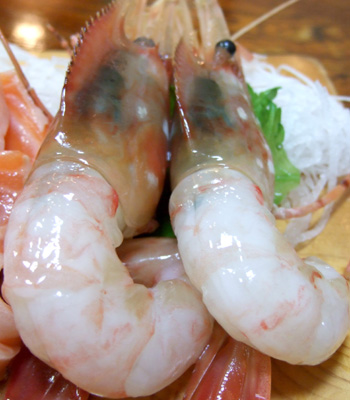 魚一心7