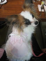 annie1