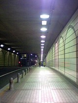 166473e7.jpg