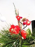 IMG_1985