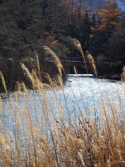 DSCN9669 (600x800)
