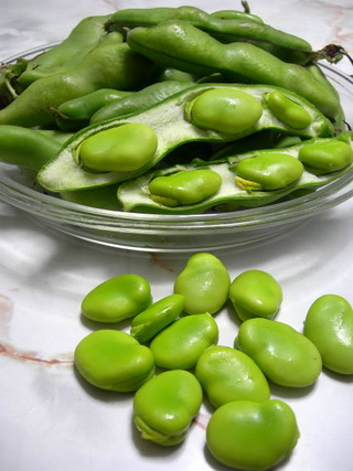 DSCN89450001