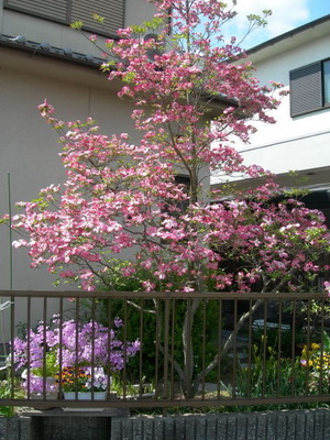 DSCN89290001