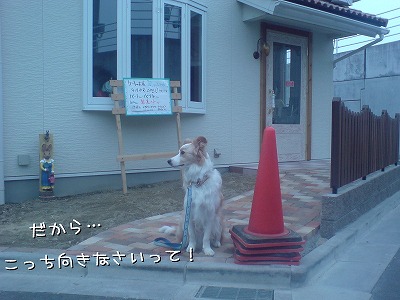 ¥±¡¼¥²°¤µ¤ó¤¬½ÐÍè¤ë¤è¡ª¤¦¤Õ¢ö(*¡±¦Ø¡±)v
