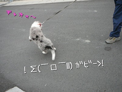 *Ž¥ŽßŽßŽ¥*:.Ž¡..Ž¡.:*Ž¥Žß¡²|¡±|¡ûŽßŽ¥*:.Ž¡. .Ž¡.:*Ž¥ŽßŽßŽ¥*