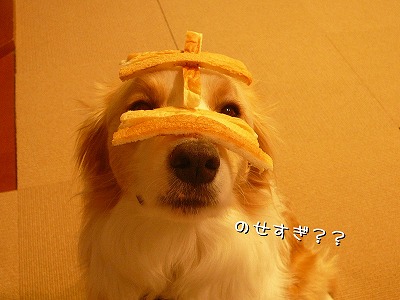 ¥Ñ¥ó¥ß¥ß²¾ÌÌ¡ª¡ª
