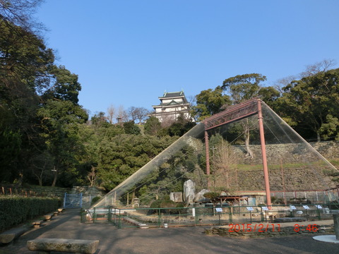 CIMG3507