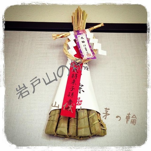 20130714i (53)