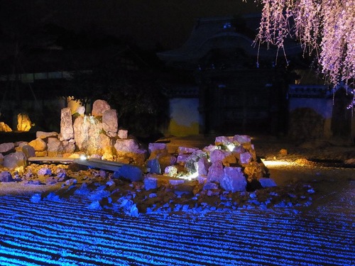 20130322koudaiji (21)