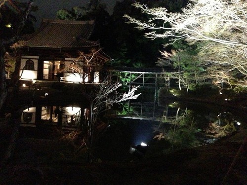 20130322i (23)