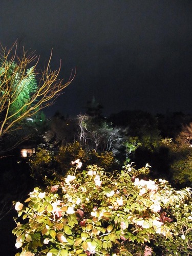 20130322koudaiji (15)