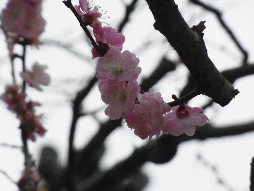 20130322cx (5)
