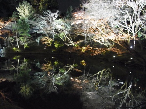20130322koudaiji (26)