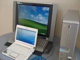 �ѥ�����