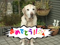 BlogPaint
