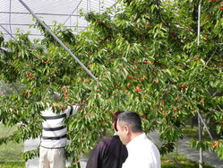画像 058