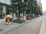 IMG_0555