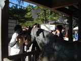 DSC00111