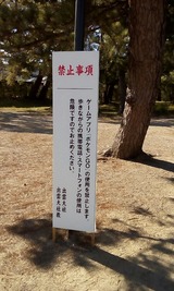 IMG_20160812_161434