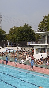 d602dc10.jpg