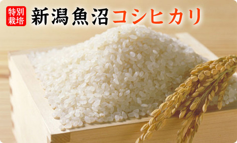 uonuma-koshi